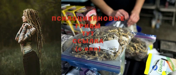 ПСИЛОЦИБИНОВЫЕ ГРИБЫ Протвино