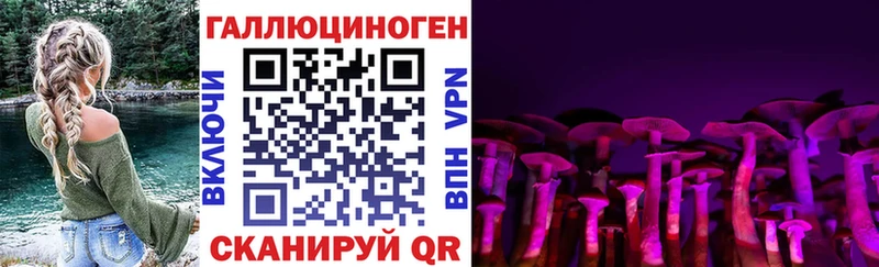 Псилоцибиновые грибы Psilocybine cubensis  хочу наркоту  ОМГ ОМГ онион  Баксан 