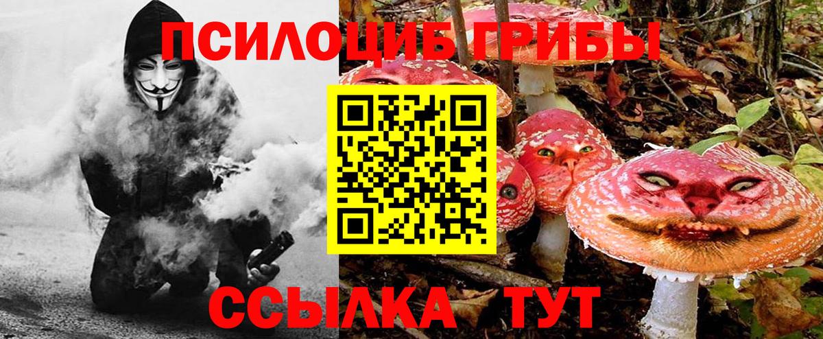 Галлюциногенные грибы GOLDEN TEACHER  Баксан  Галлюциногенные грибы Cubensis 