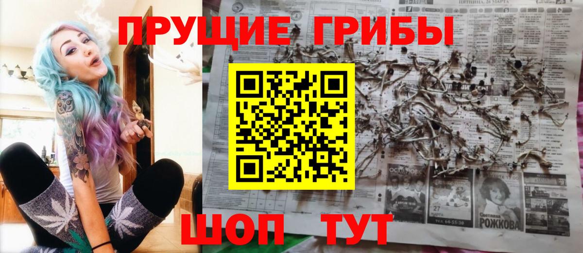 Баксан  Галлюциногенные грибы мицелий  Вход с VPN 