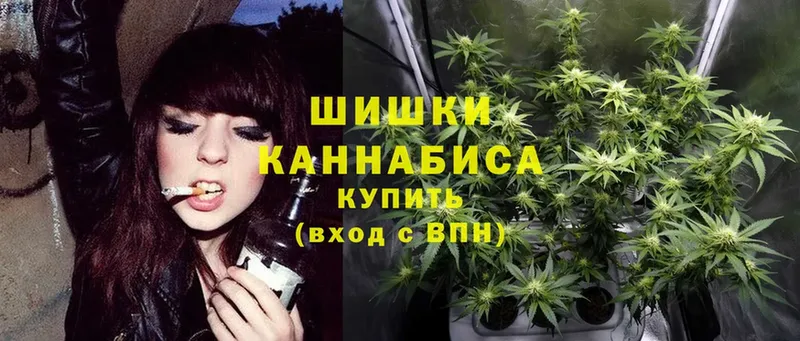 Бошки марихуана THC 21%  Баксан 