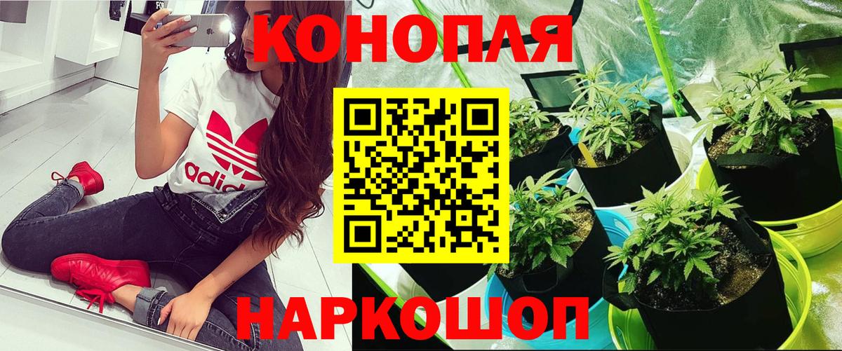 Бошки марихуана план  Вход с VPN  Баксан  МАРИХУАНА Ganja  МАРИХУАНА тримм 